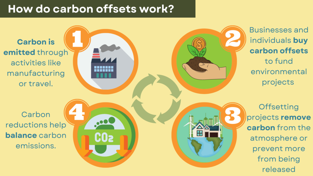 carbon offsetting infographic - carbon offsetting pros and cons
