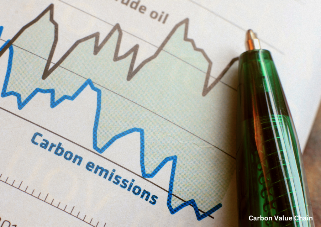 carbon markets - carbon value chain